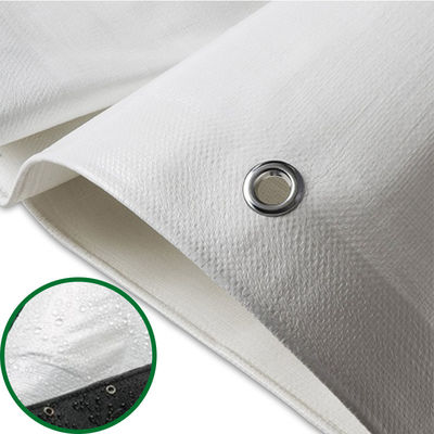 Lonas de polietileno ligeras de 160 g/m² y 240 g/m² Duraderas, impermeables y con protección UV, rollos de lona de polietileno, doble verde