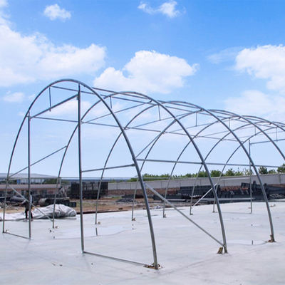 Litong Invernaderos agrícolas al aire libre Planta de jardín Transparente Poly Tunnel Almacén Tarpaulin de PVC