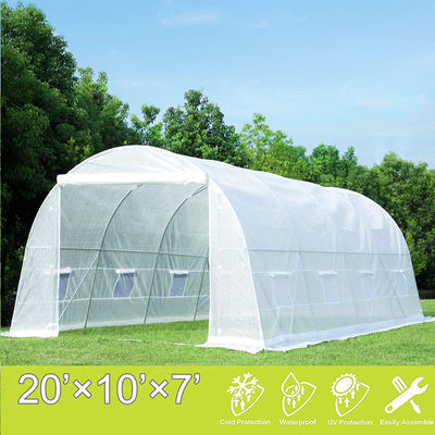 Invernaderos agrícolas Lona de PVC Jardinería Planta Transparente Lona Fabricante Túnel de polietileno